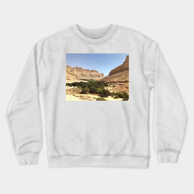 Oasis at Oman Crewneck Sweatshirt by PedaDesign